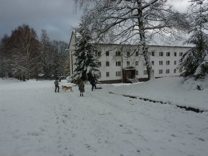 [Foto]