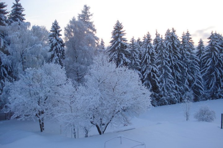 [Foto]