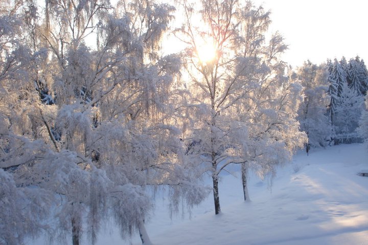 [Foto]