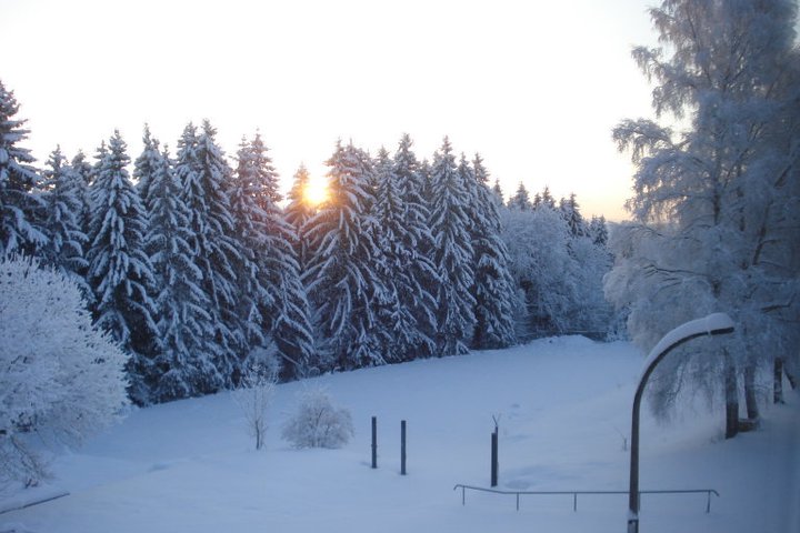 [Foto]