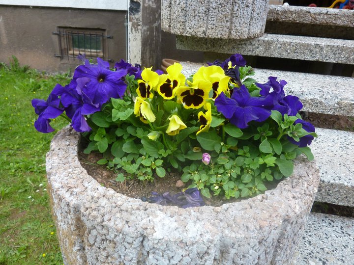 [Foto]