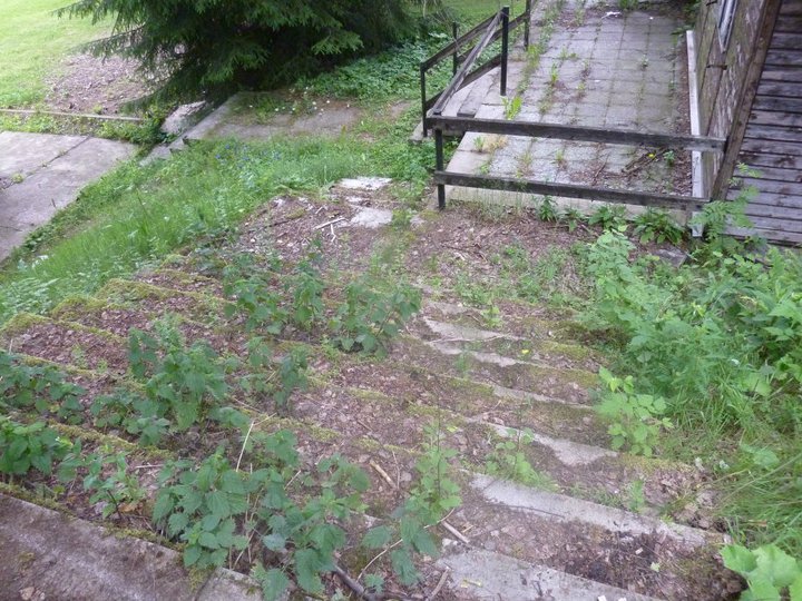 [Foto]