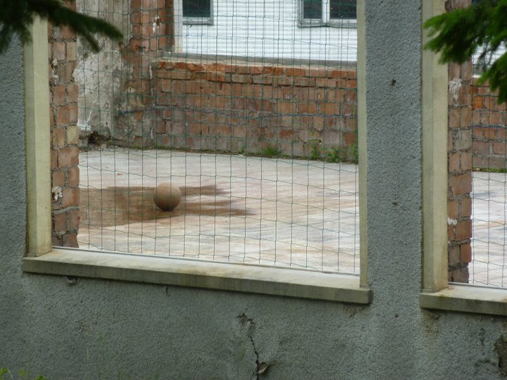 [Foto]