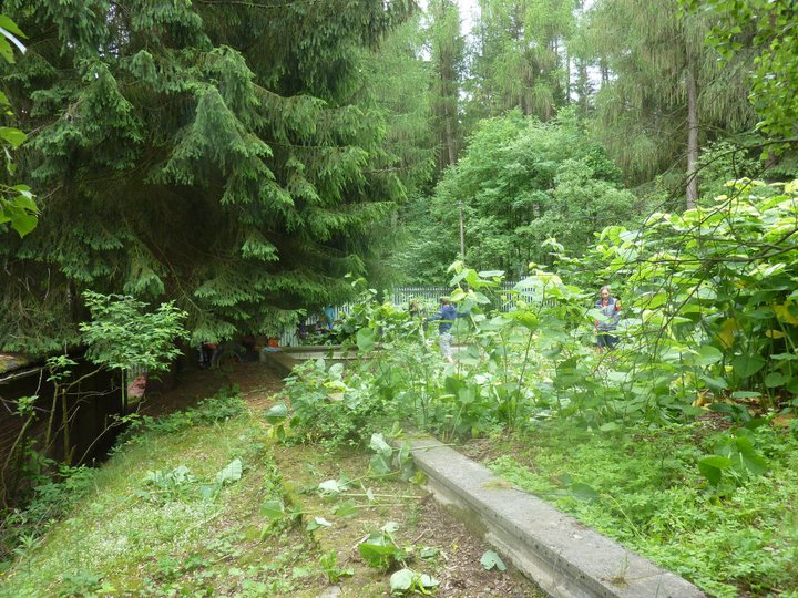 [Foto]