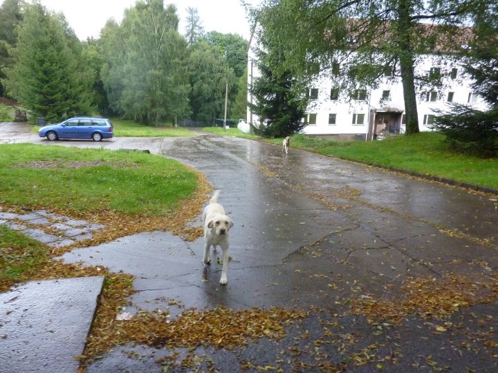 [Foto]
