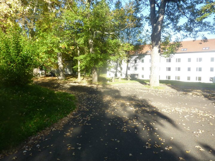 [Foto]