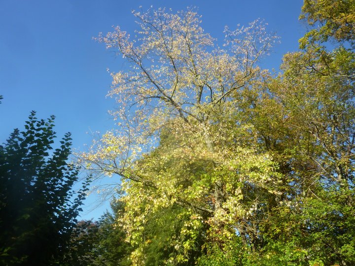 [Foto]