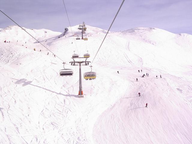 [Foto]