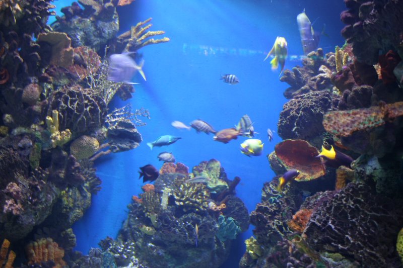 [Foto]