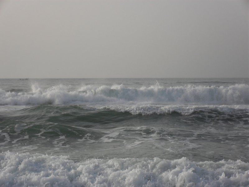 [Foto]