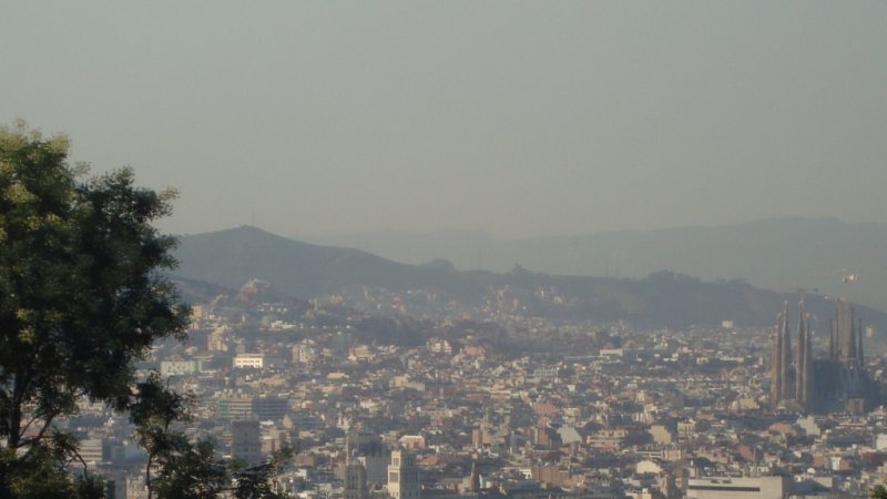 [Foto]