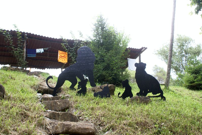 [Foto]