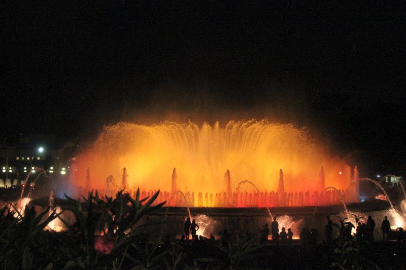 [Foto]