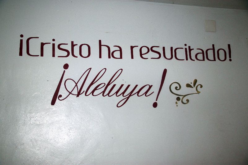 [Foto]