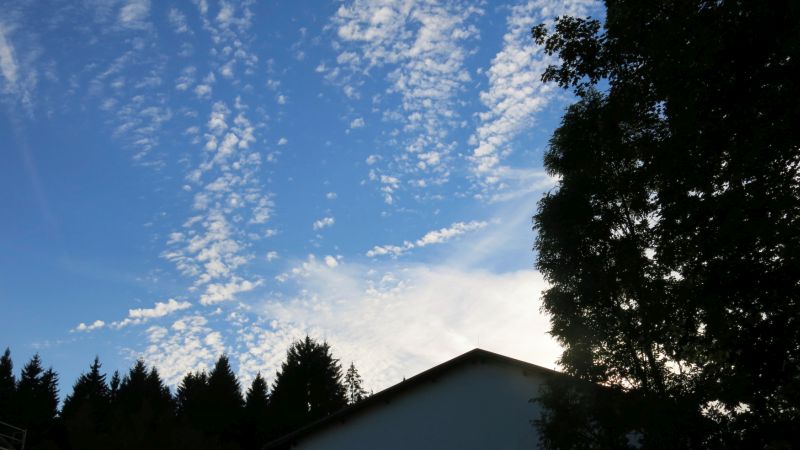 [Foto]