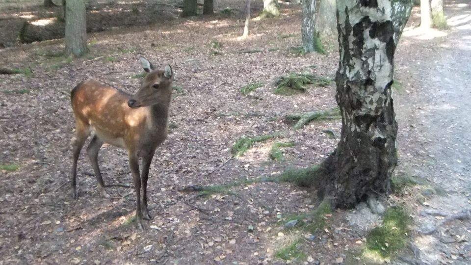 [Foto]